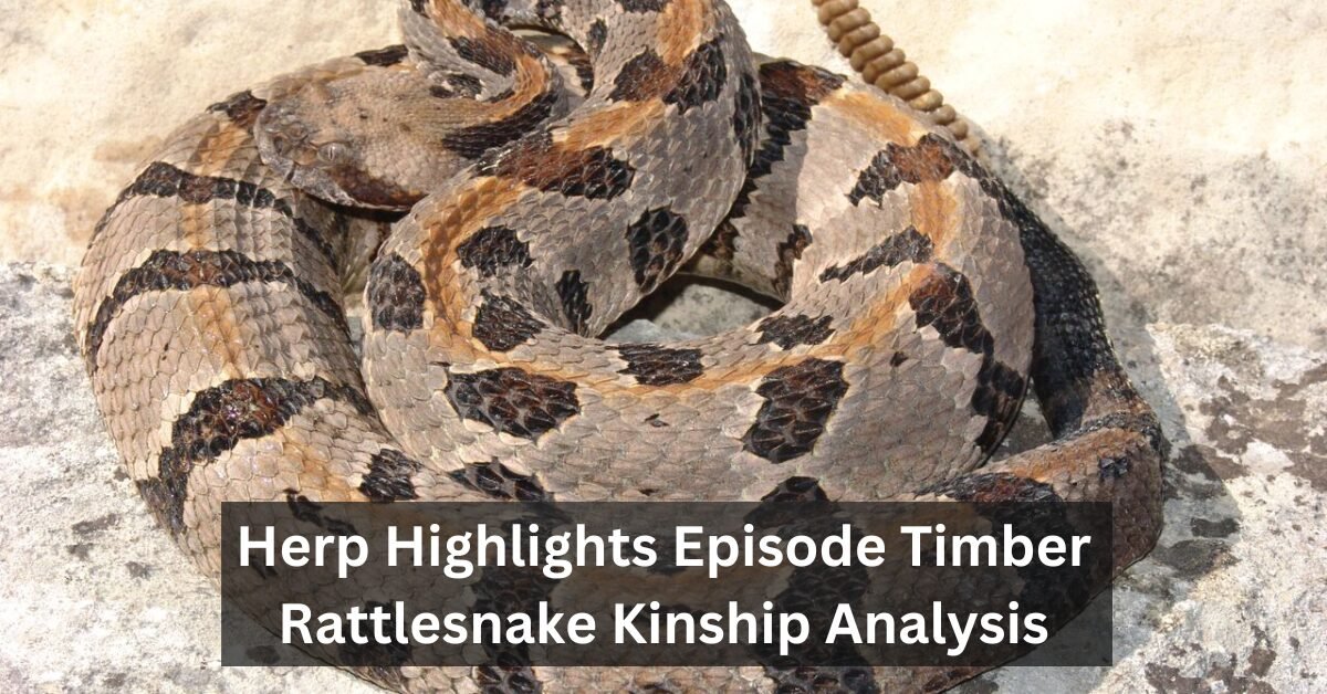 Herp Highlights Episode Timber Rattlesnake Kinship Analysis